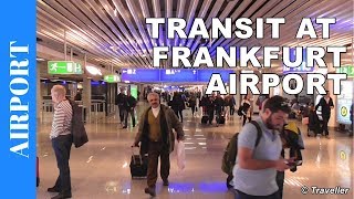 TRANSIT WALK AT FRANKFURT Airport FRA Terminal 1  Connection Flight Transfer Arriving amp Departing [upl. by Ljoka346]